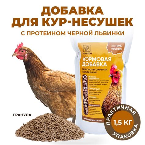 Добавки для повышения продуктивности кур несушек