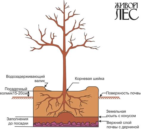 Добавление деревьев и кустарников