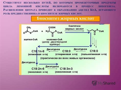 Добавление лимонной кислоты и процесс свертывания