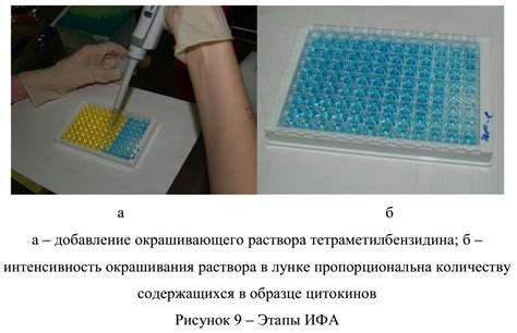 Добавление пектинового раствора в жидкость