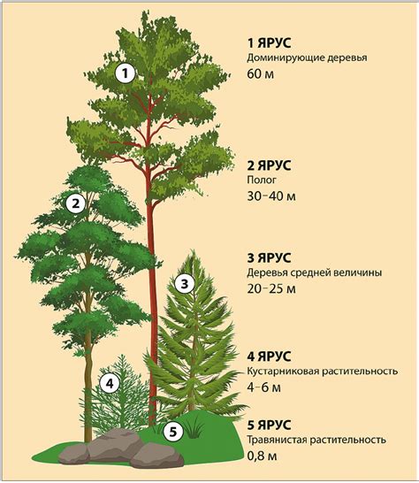 Добавление растительности и животных