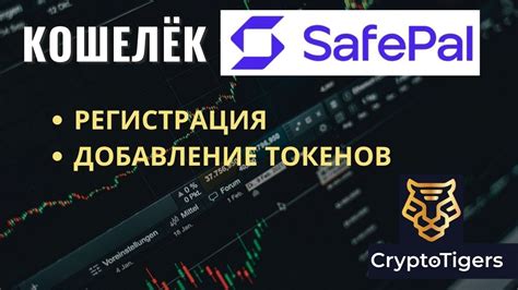 Добавление токенов в Exodus