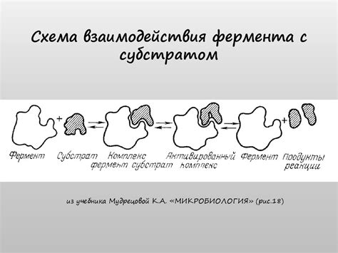 Добавление фермента и уксуса