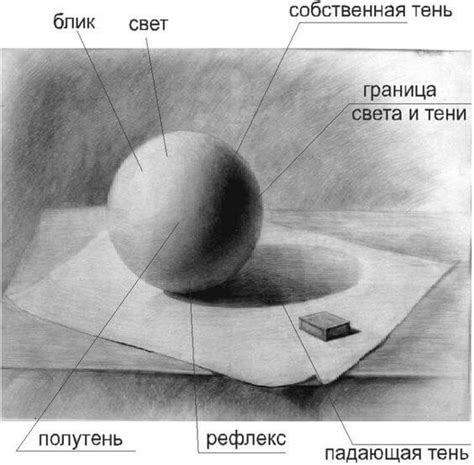 Добавьте тени и свет в рисунок шуги