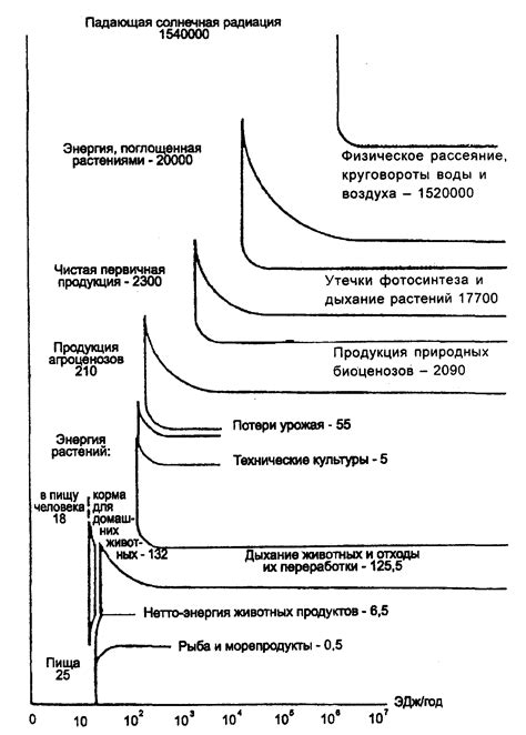 Добивка второстепенных элементов