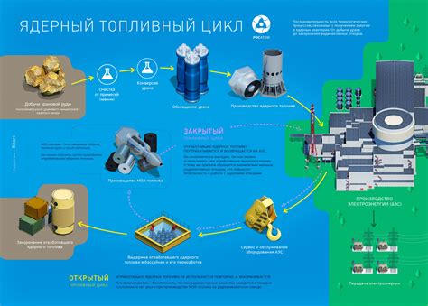 Добыча и обработка тростника