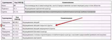 Документы для регистрации ОКВЭД