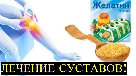 Домашний желатин для здоровых суставов