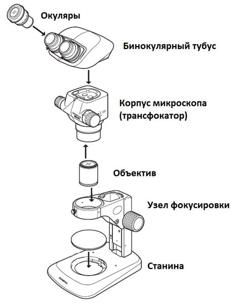 Дополнительные аксессуары: как повысить увеличение микроскопа