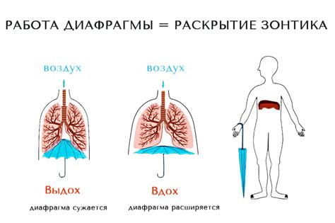 Дополнительные рекомендации по улучшению дыхания при пении