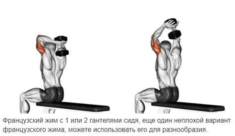 Дополнительные советы для эффективной тренировки трицепса отжиманиями