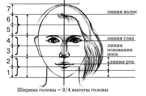 Доработайте пропорции и выразительность лица