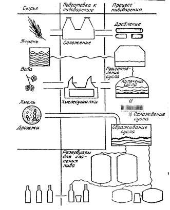Дрожжи в производстве алкогольных напитков