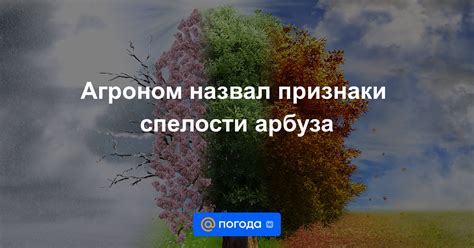 Другие признаки спелости