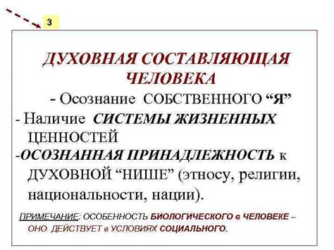 Духовная составляющая истинных ценностей в паре