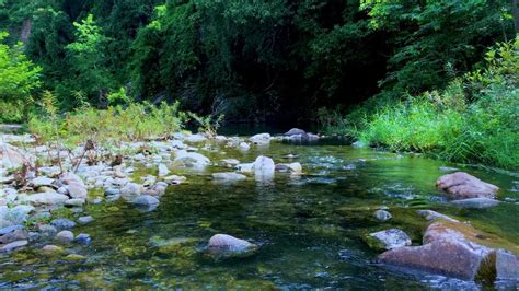 Духовное значение воды, текущей по дороге