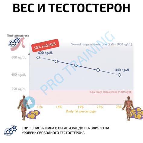 Естественные пути увеличения гемоглобина