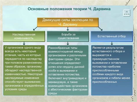 Естественный отбор и дизайн человеческого тела