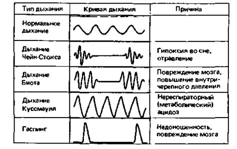 Естественный ритм дыхания