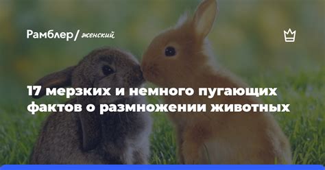 Женский фактор в размножении