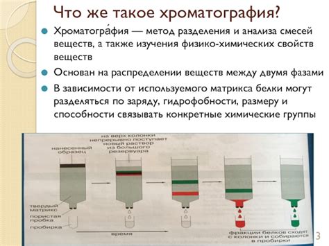 Жидкостная хроматография: высокоэффективный метод отделения и анализа смесей белков