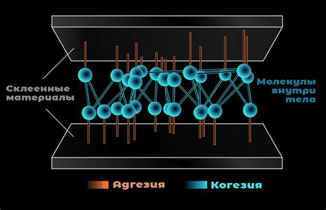 Жидкость: капиллярное действие и когезия