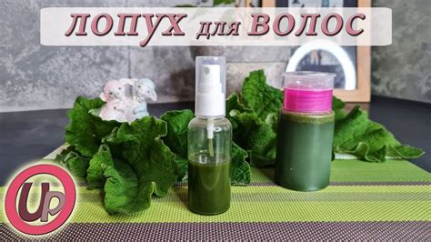 Жмых лопуха для укрепления волос