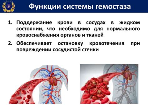 Заболевания, влияющие на баланс крови и антикоагулянта