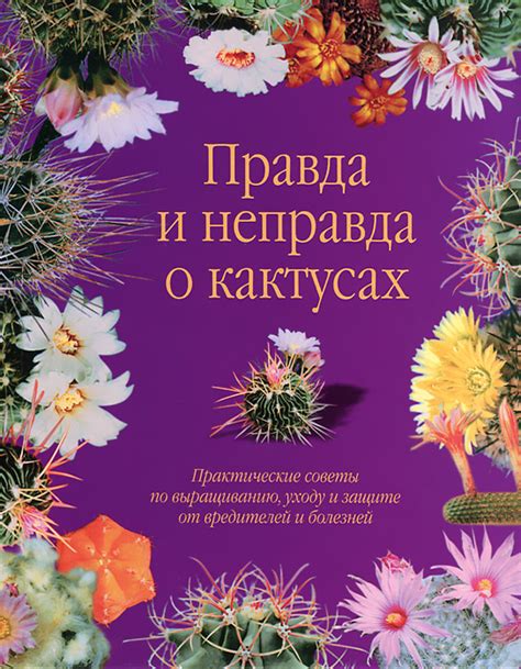 Забота о луках: советы по выращиванию и уходу