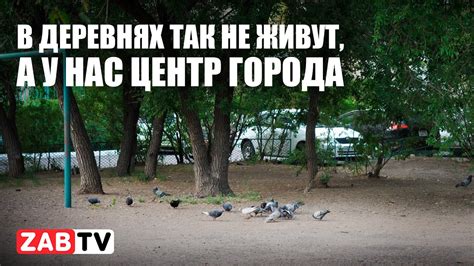 Заброшенность и безразличие властей