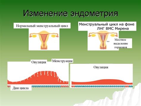 Забудьте о проблемах: повышаем толщину эндометрия для успешного зачатия при ЭКО