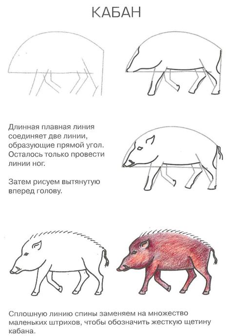 Завершение рисунка кабана