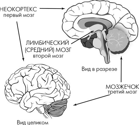 Загадочное действие подсознания