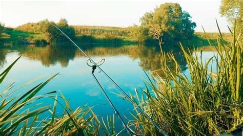 Загляните в местные водоемы и выберите лучшие места для ловли