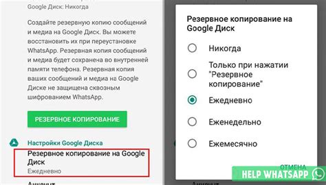 Загружаемые файлы из WhatsApp