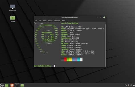 Загрузка Linux Mint LMDE 5