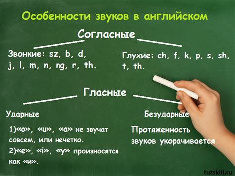 Задачи и функции артикля в русском языке