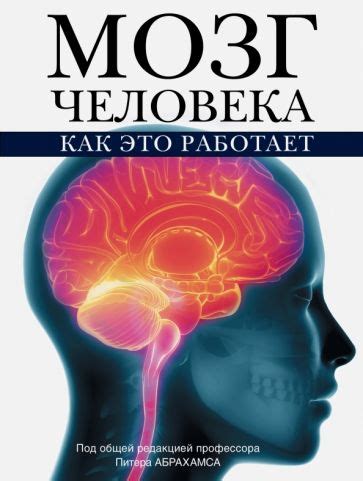 Займы человека: как это работает