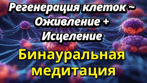 Закалка и укрепление иммунной системы