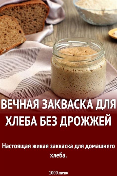 Закваска для домашнего хлеба: лучшие рецепты и советы