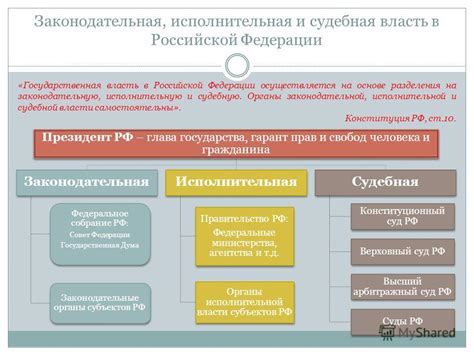 Законодательная и исполнительная власть