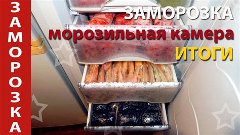 Заморозка и морозильная камера: оптимальное сохранение