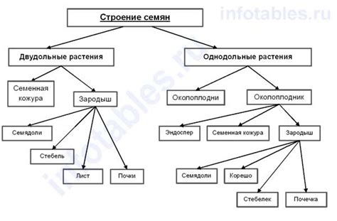 Запасное питательное вещество и рост растений