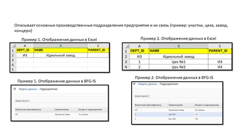 Заполнение основных данных