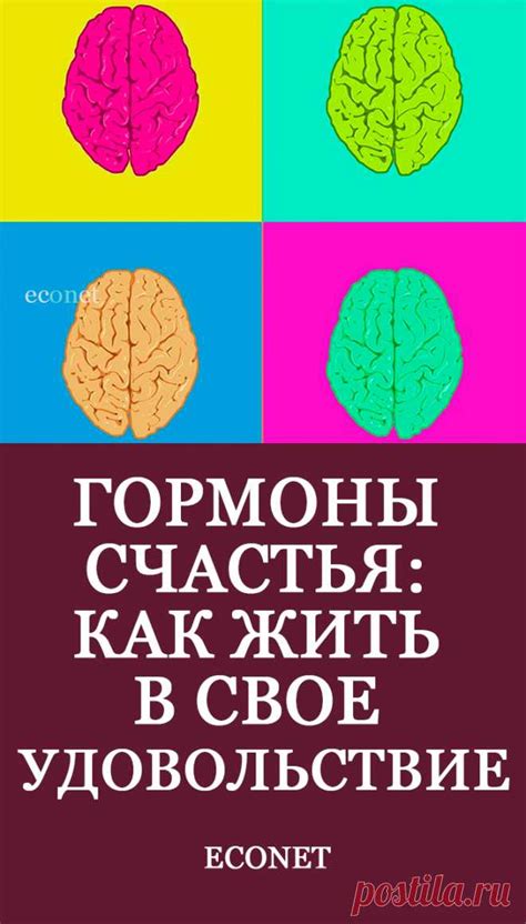 Запросите помощь у специализированных исследователей