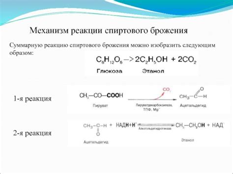 Затвор как контрольный механизм процесса брожения