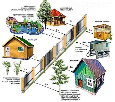 Зачем нужно восстановление зелени на земельном участке