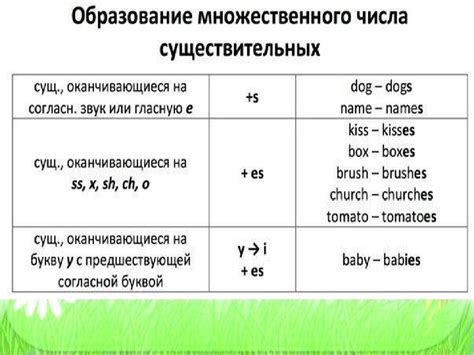 Зачем нужно знать правила образования множественного числа