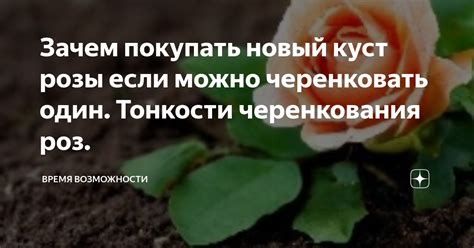 Зачем покупать розы живые себе?