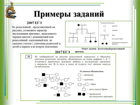 Зачем создавать родословную по генетике